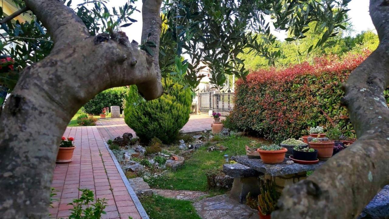 Apartment Green Oasis 1 Umag Exteriör bild